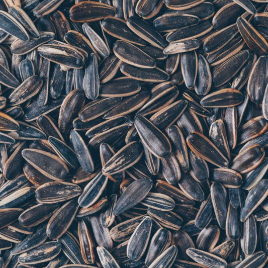 Sunflower Seeds